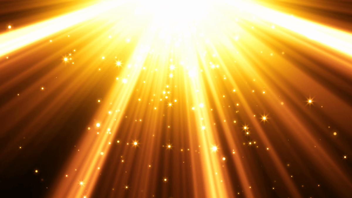 The world is not some cosmic&nbsp;accident.